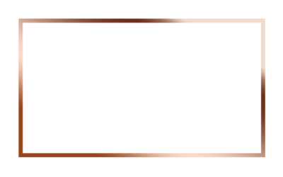 Rust Webcam Overlay 16:9
